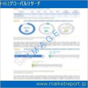市場と産業調査レポートのイメージ